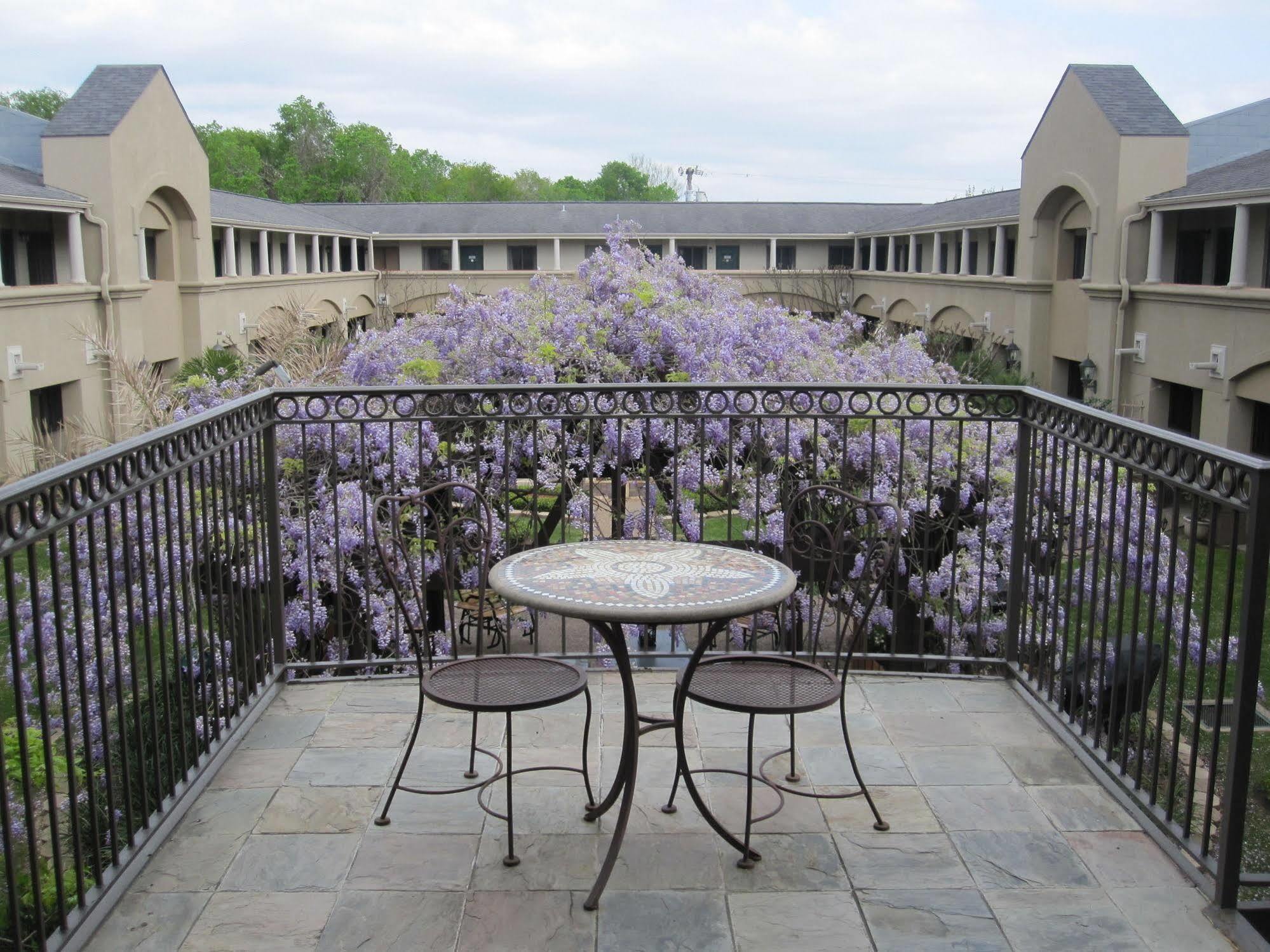 Hotel Vineyard Court Designer College Station